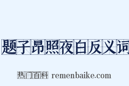 题子昂照夜白反义词是什么意思的图片